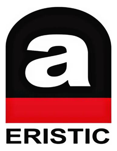 ERISTIC logo - Gaskets parts supplier