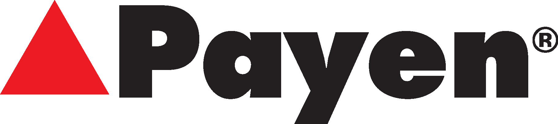 PAYEN logo